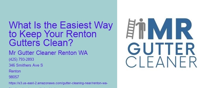 What Is the Easiest Way to Keep Your Renton Gutters Clean? 