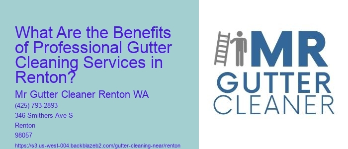 What Are the Benefits of Professional Gutter Cleaning Services in Renton? 