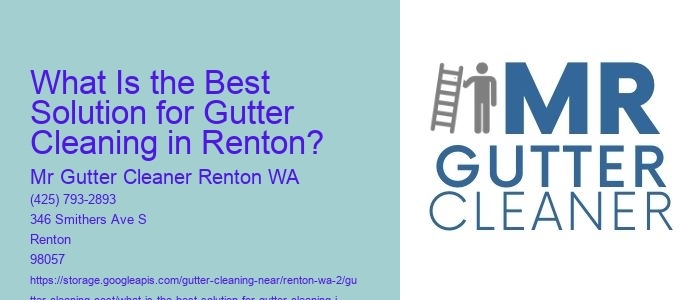 What Is the Best Solution for Gutter Cleaning in Renton? 