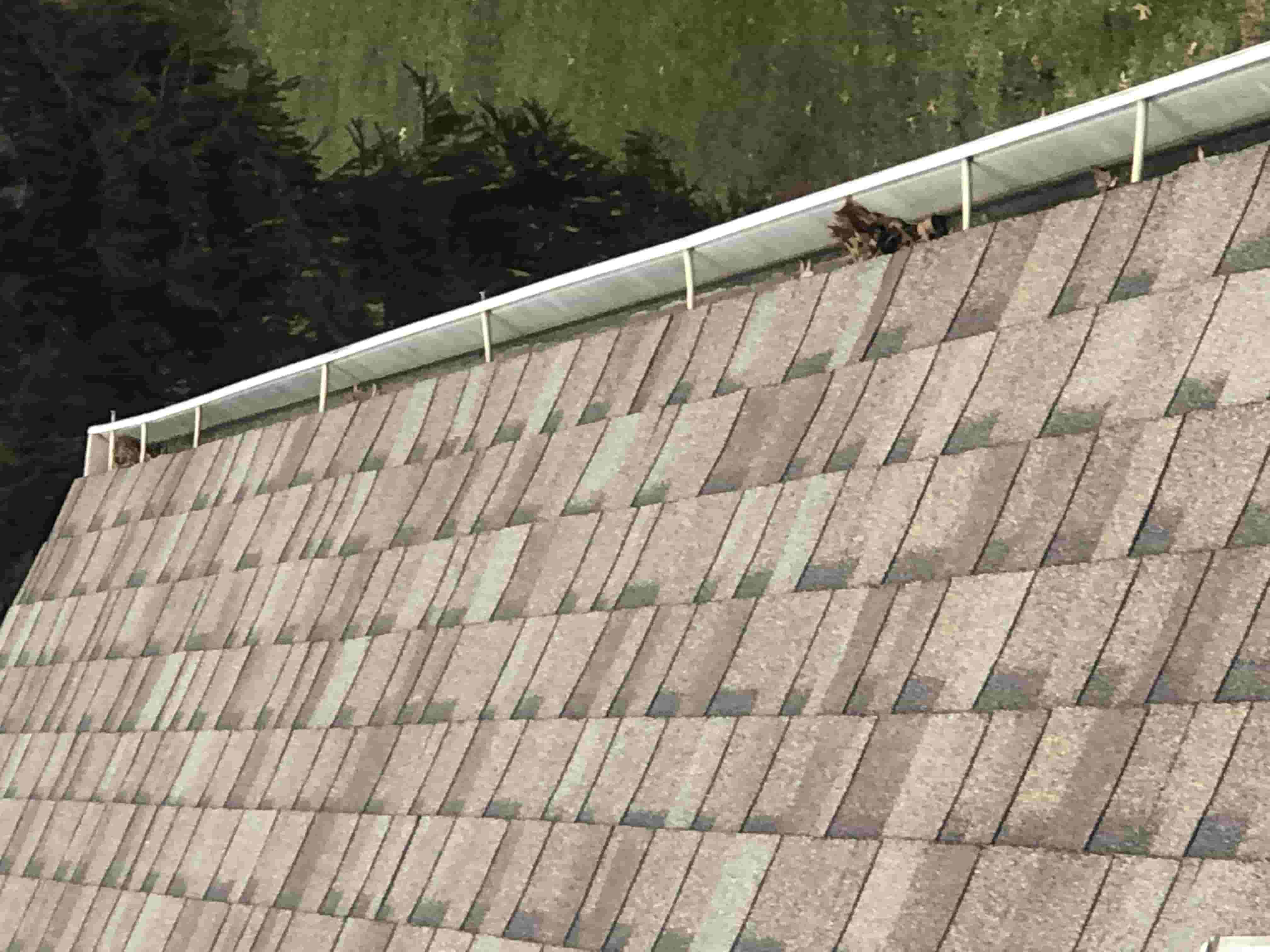 gutter cleaning and repairs