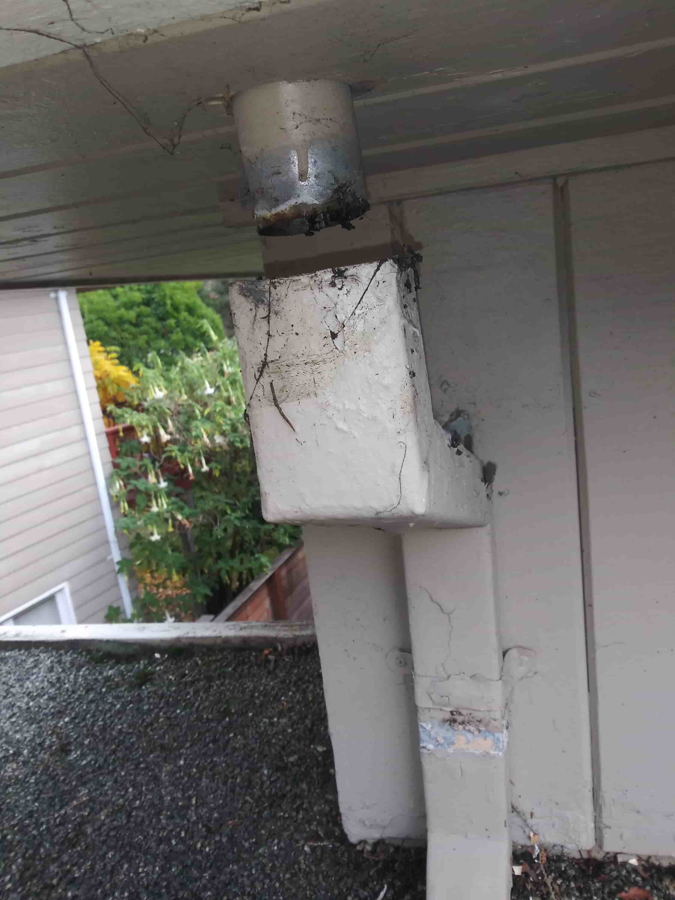 leaves in gutters