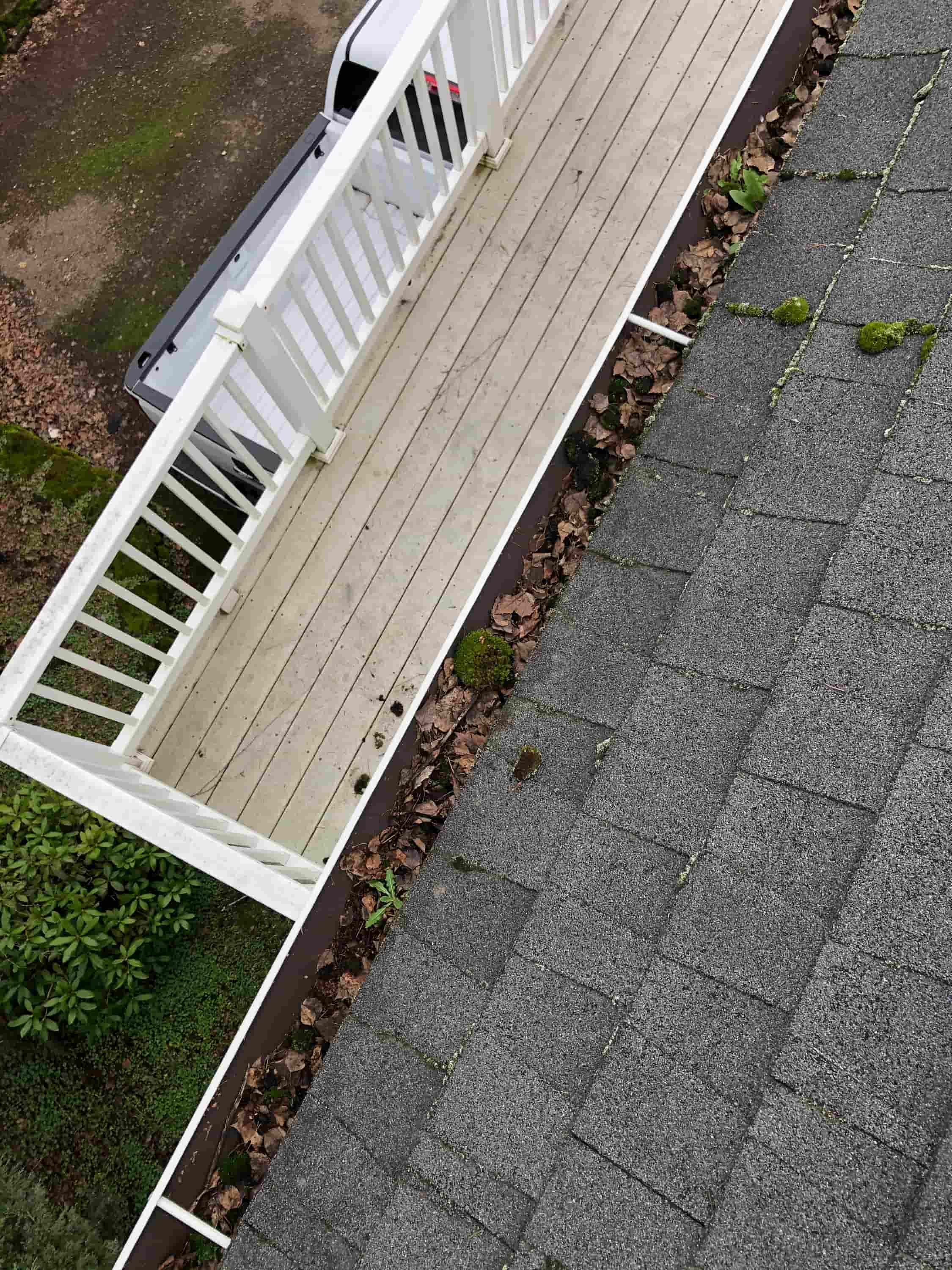roof gutter cleaner near me