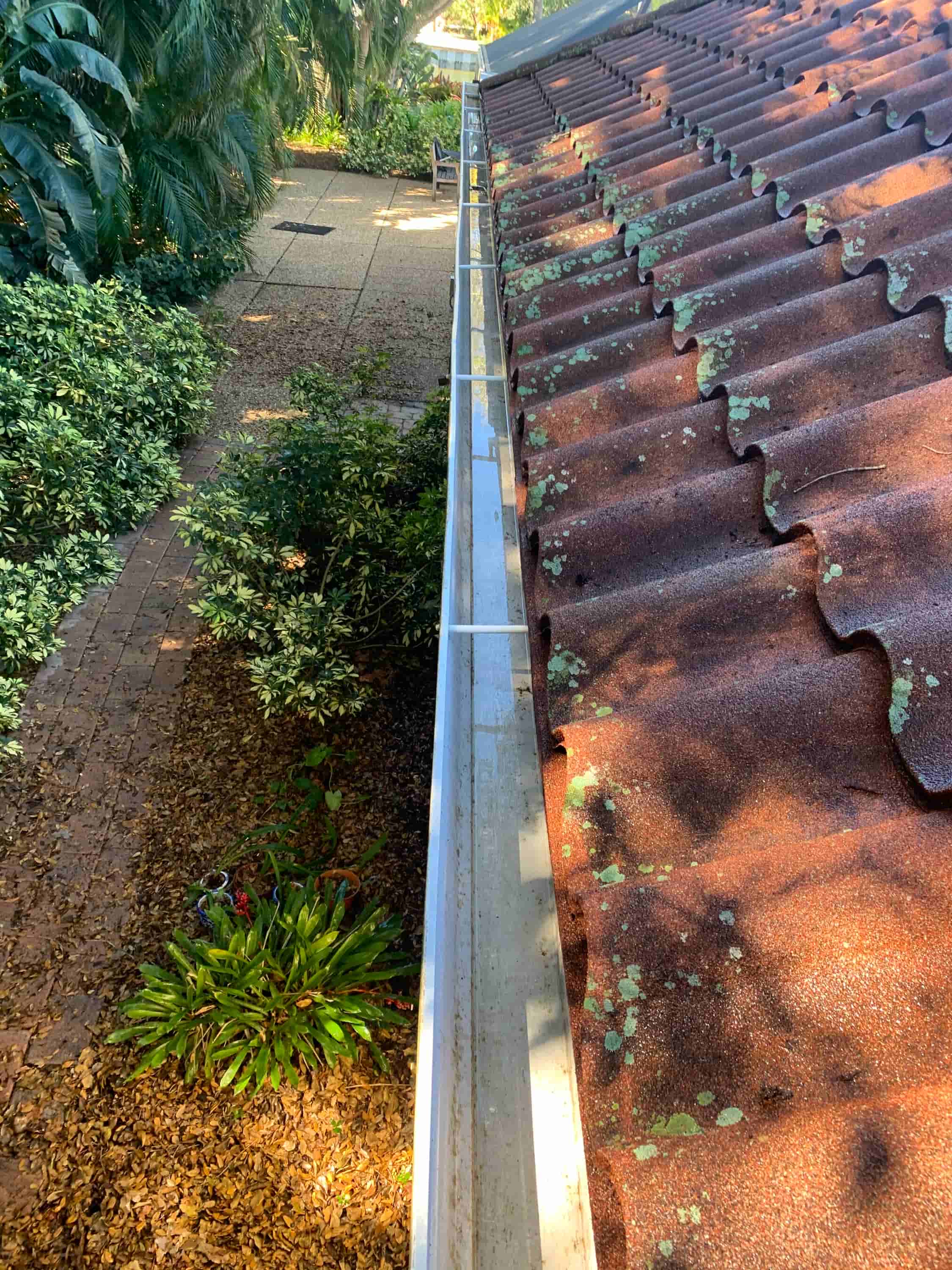 clean gutters with gutter guards