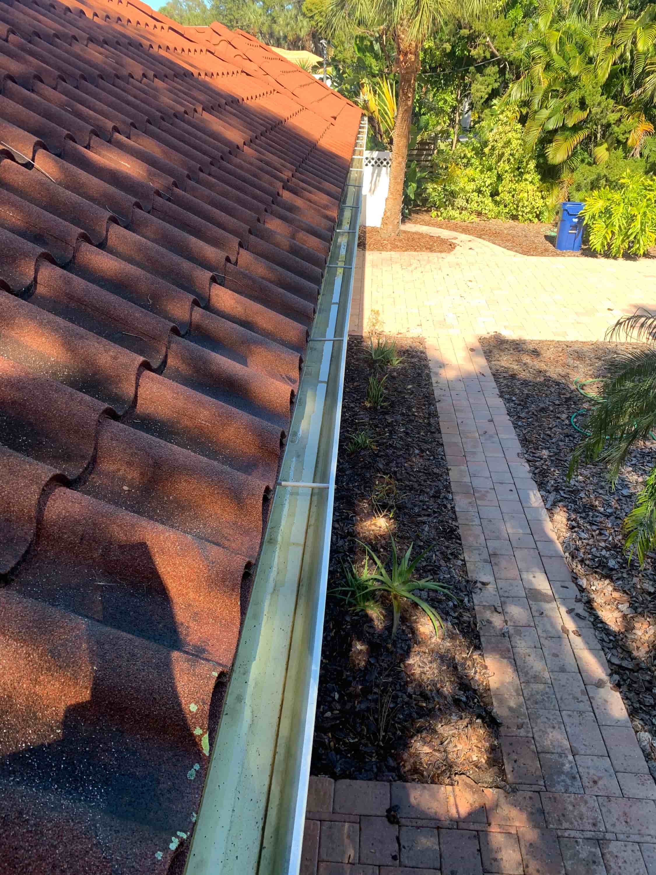 roof leaf blower