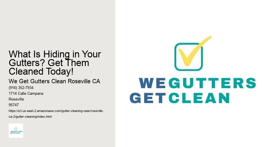 What Is Hiding in Your Gutters? Get Them Cleaned Today!