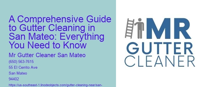 A Comprehensive Guide to Gutter Cleaning in San Mateo: Everything You Need to Know