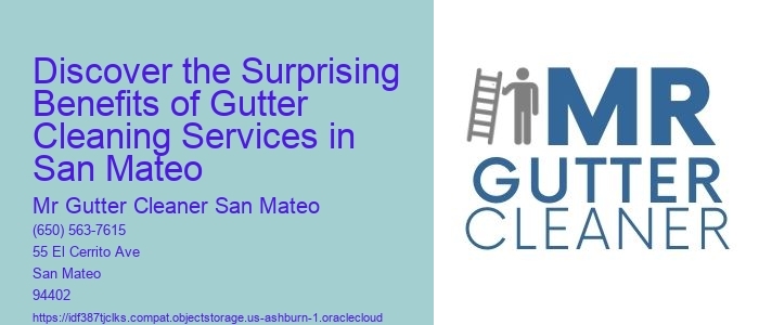 Discover the Surprising Benefits of Gutter Cleaning Services in San Mateo