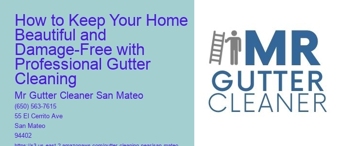 How to Keep Your Home Beautiful and Damage-Free with Professional Gutter Cleaning