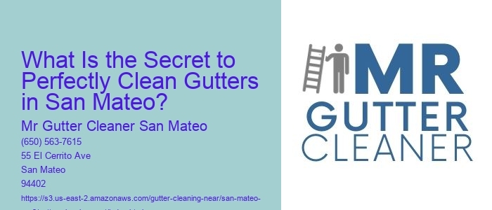 What Is the Secret to Perfectly Clean Gutters in San Mateo? 
