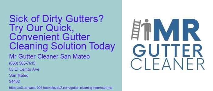 Sick of Dirty Gutters? Try Our Quick, Convenient Gutter Cleaning Solution Today