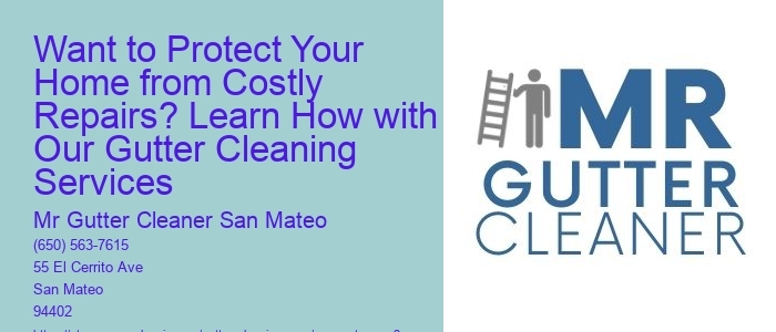 Want to Protect Your Home from Costly Repairs? Learn How with Our Gutter Cleaning Services