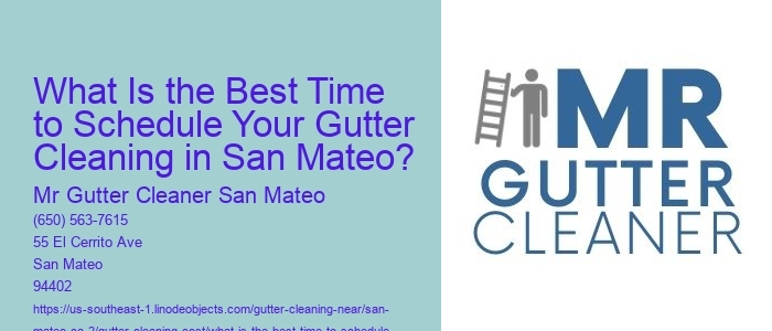 What Is the Best Time to Schedule Your Gutter Cleaning in San Mateo? 