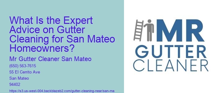What Is the Expert Advice on Gutter Cleaning for San Mateo Homeowners? 