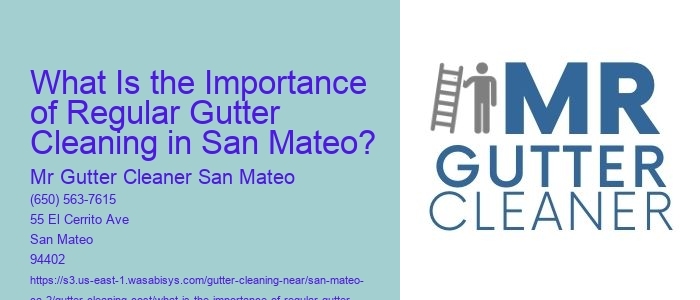 What Is the Importance of Regular Gutter Cleaning in San Mateo? 