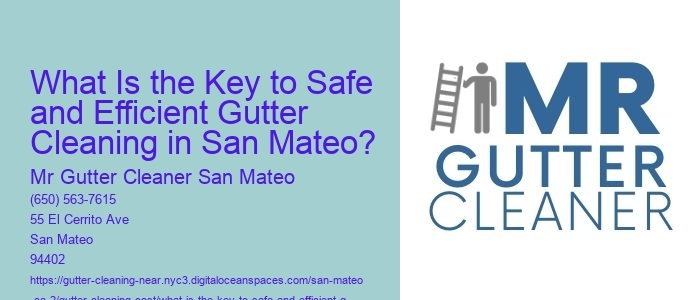What Is the Key to Safe and Efficient Gutter Cleaning in San Mateo? 
