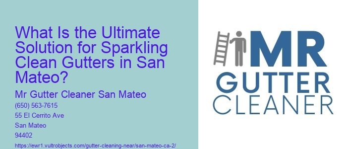 What Is the Ultimate Solution for Sparkling Clean Gutters in San Mateo?