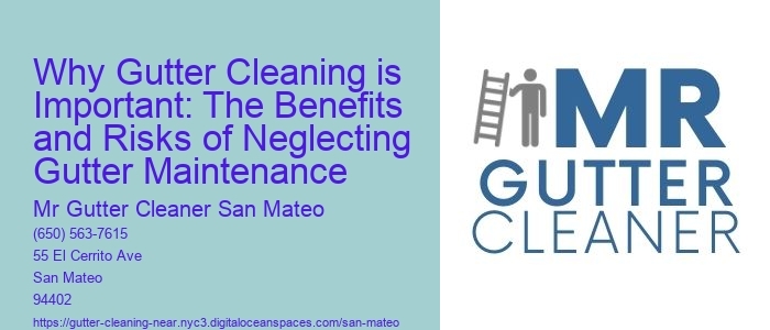 Why Gutter Cleaning is Important: The Benefits and Risks of Neglecting Gutter Maintenance