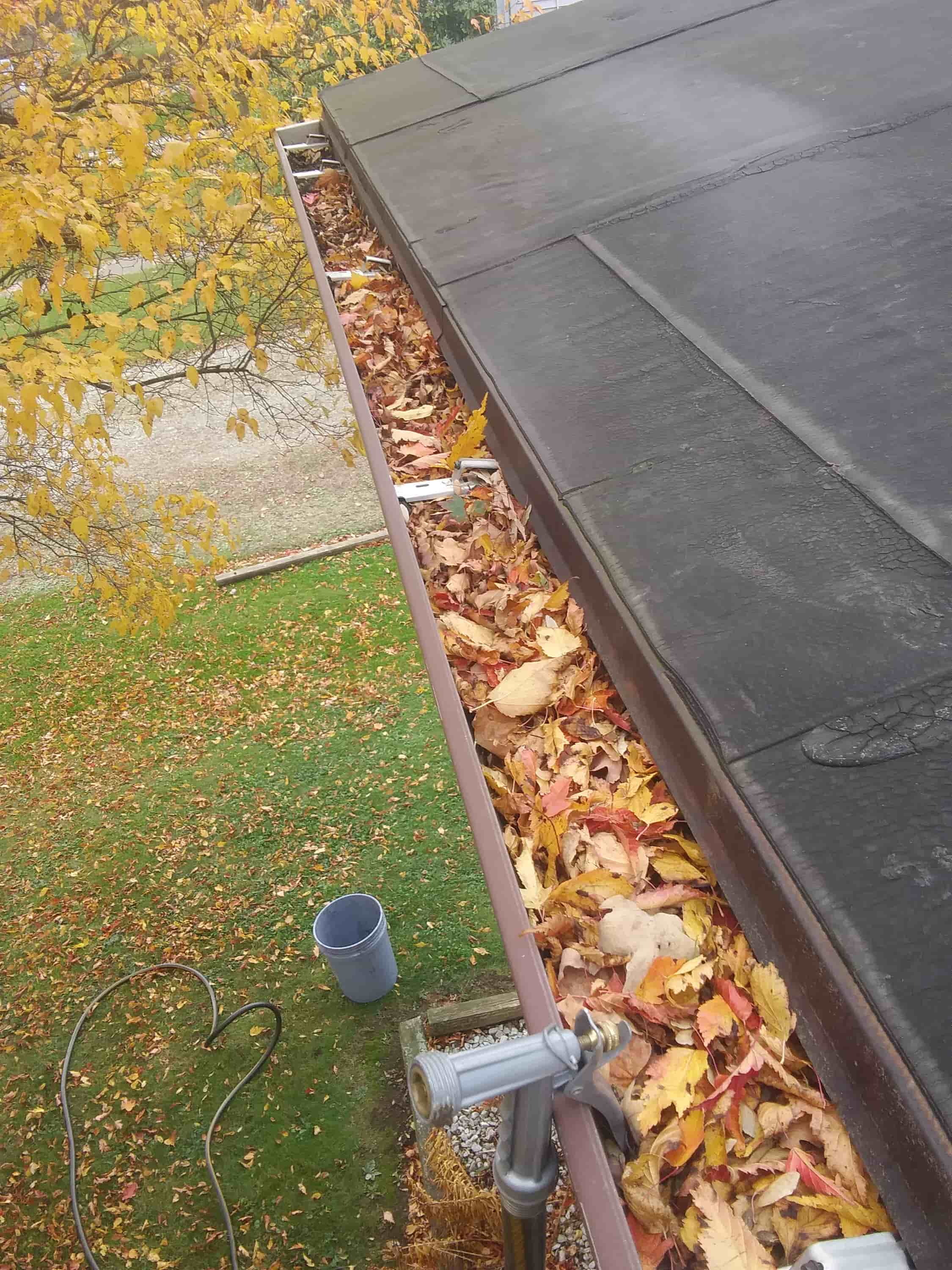 gutter cleaning ladder