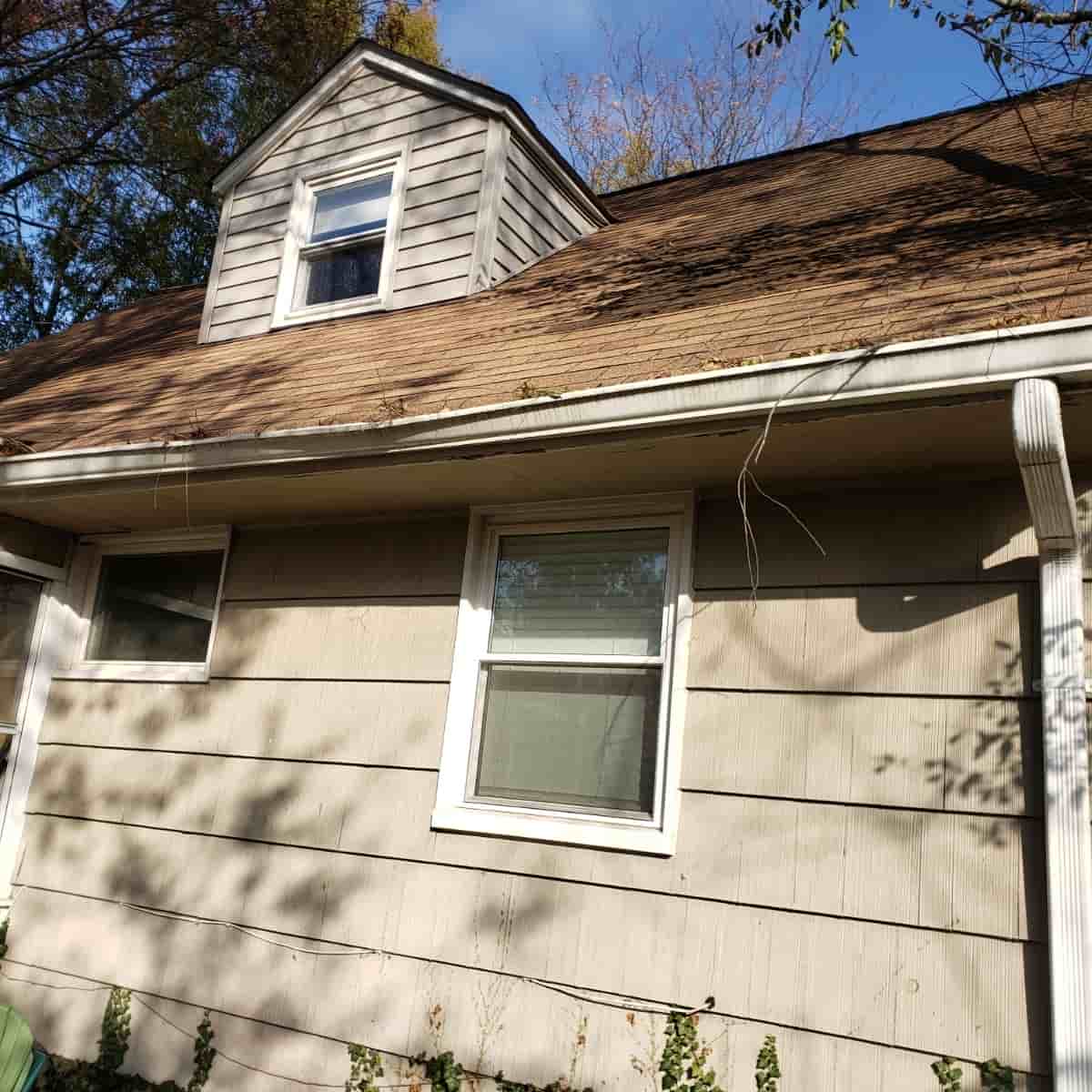 leaf blower gutter cleaner