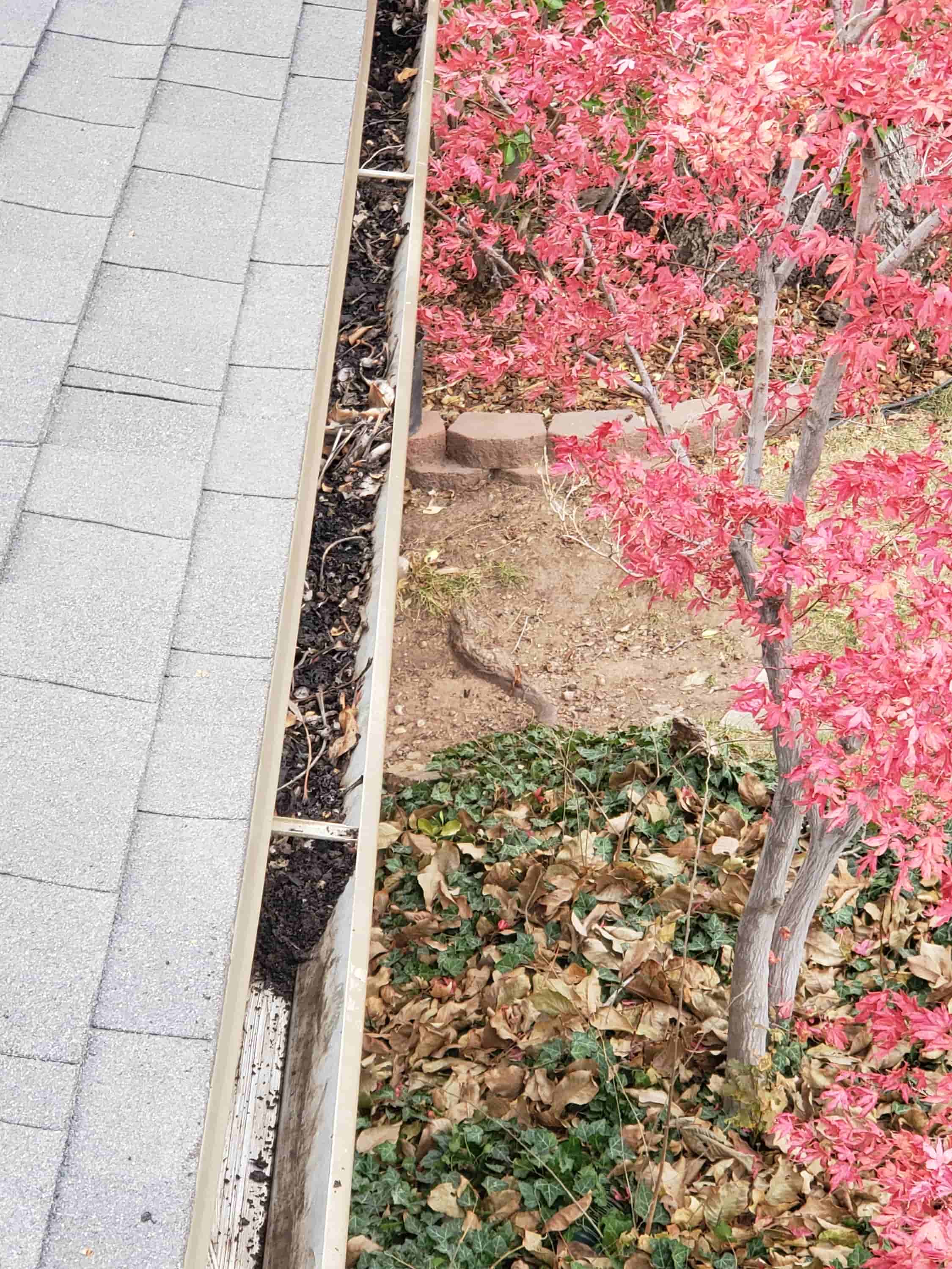 gutters and downspouts cleaning