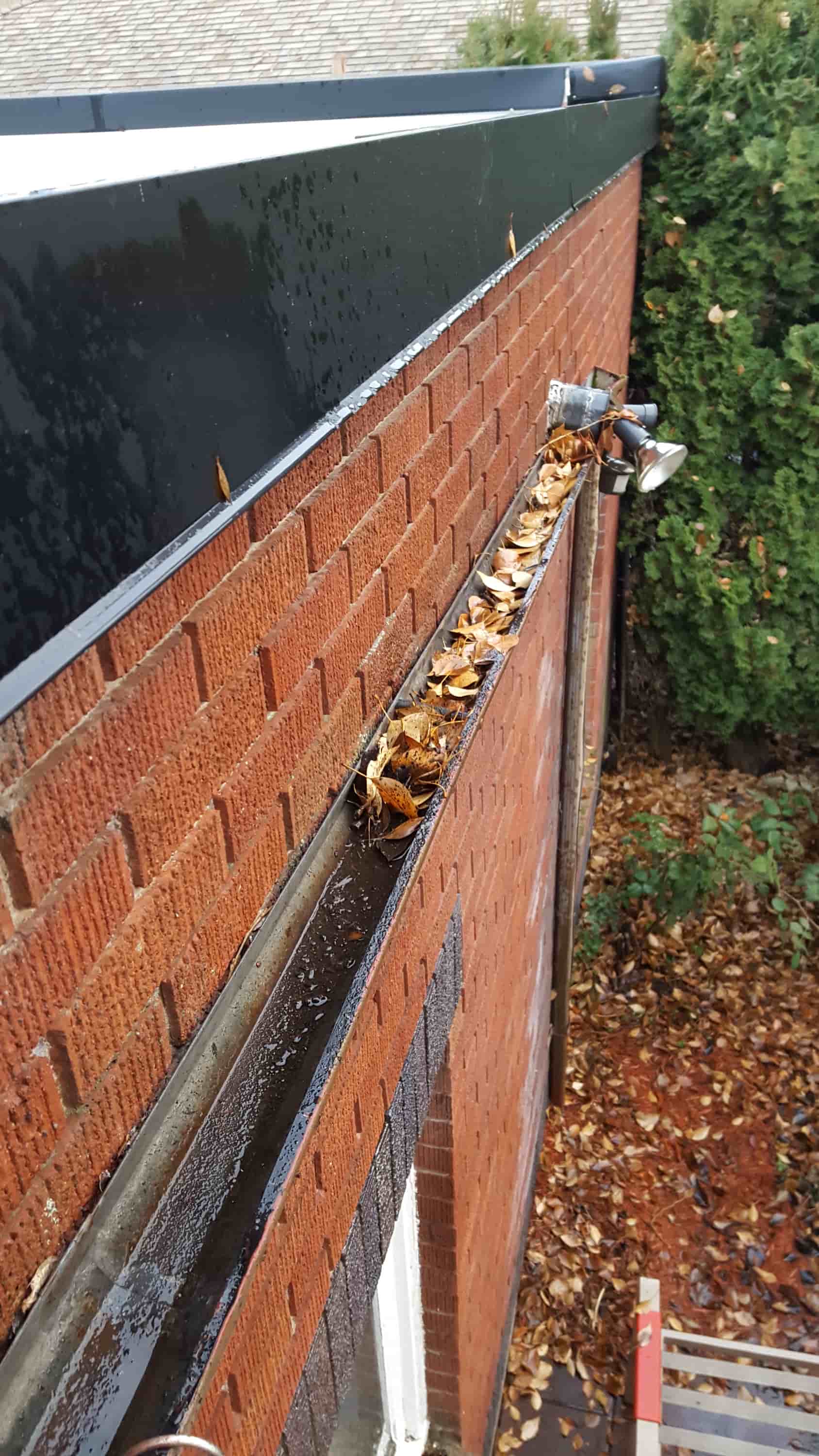 best gutter cleaning