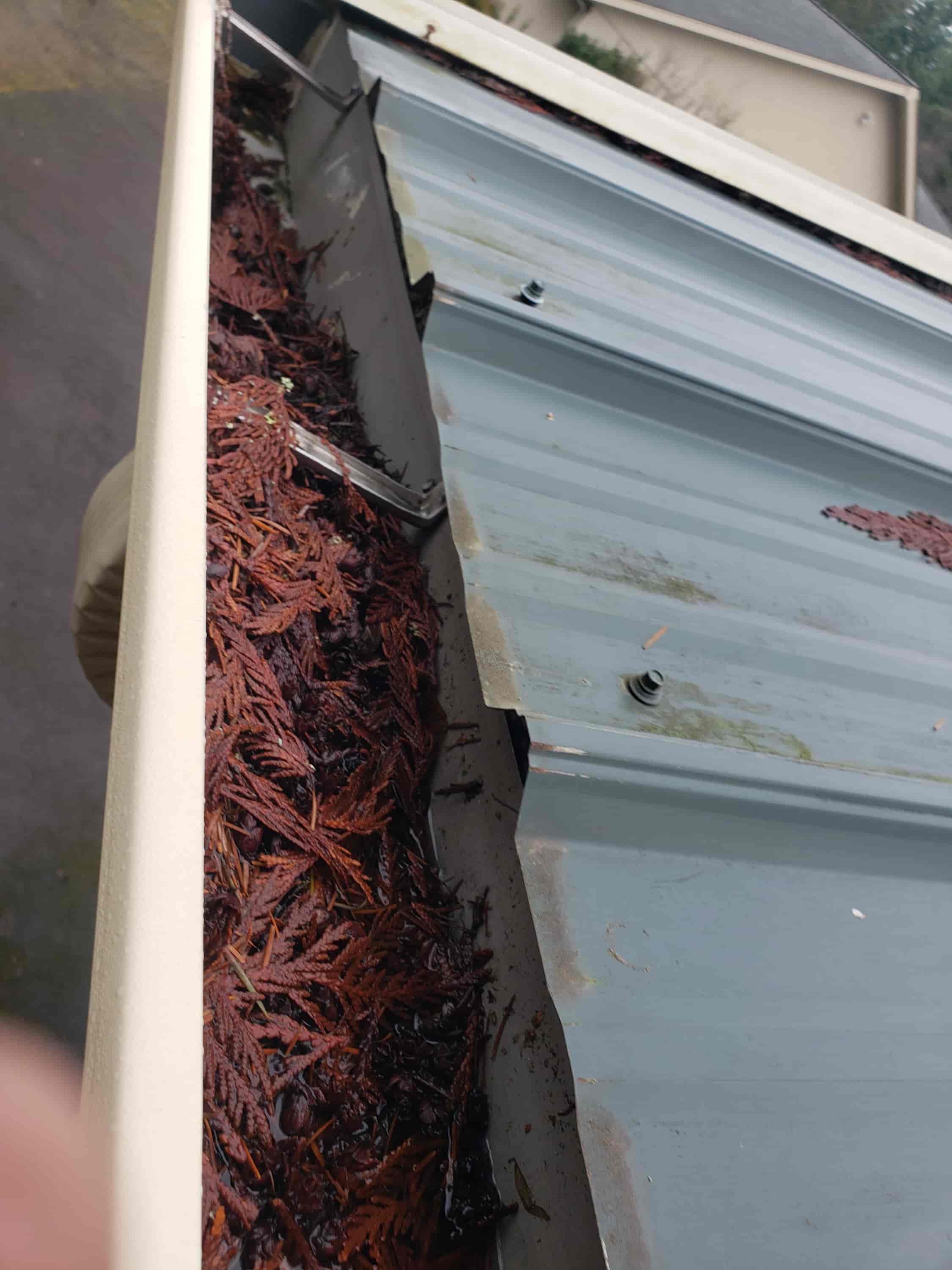 gutter cleaning for tall houses