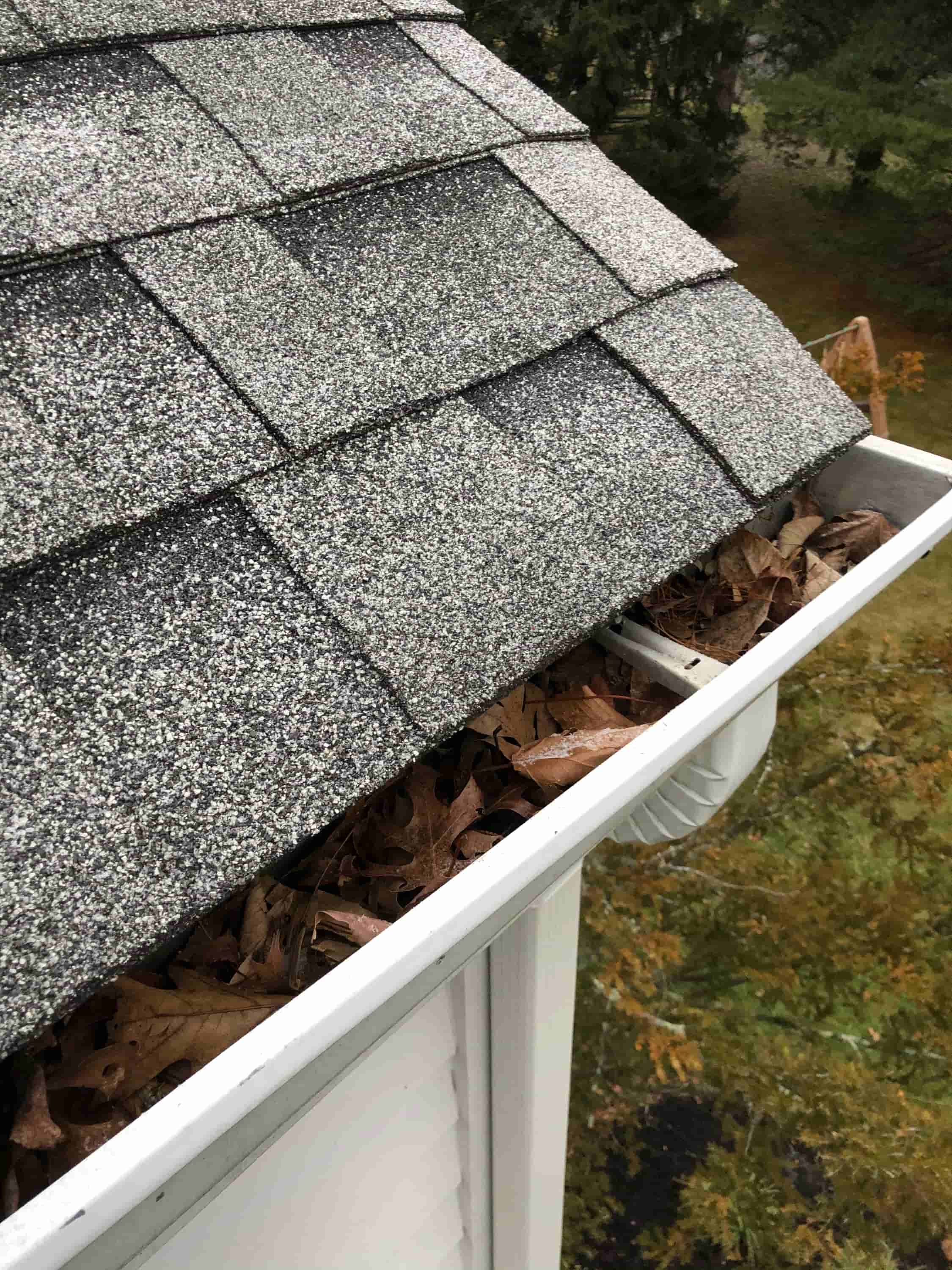 clean the gutters