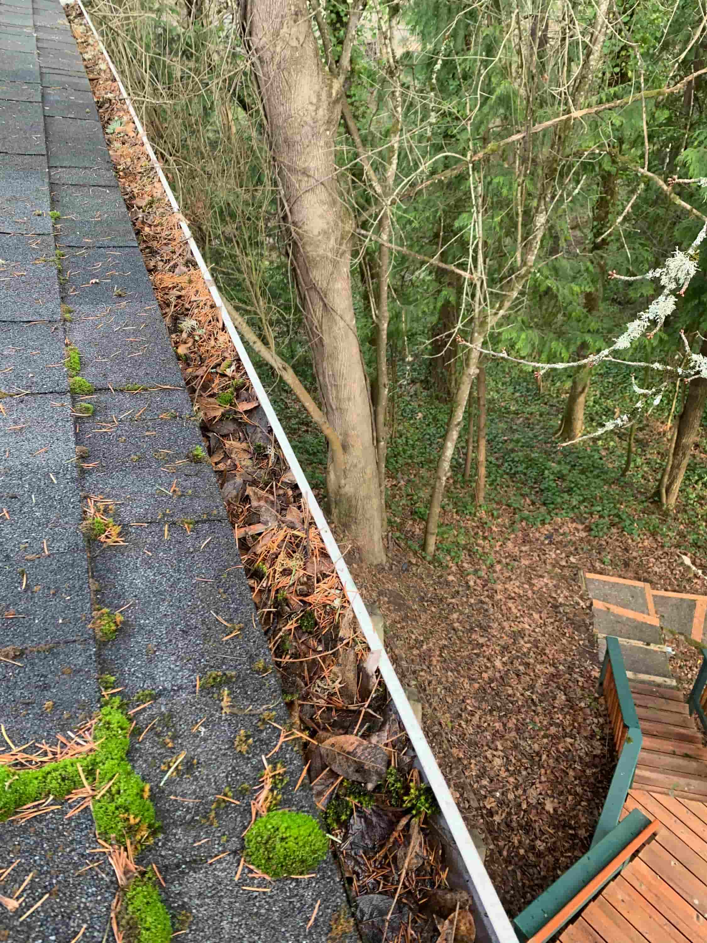 clean out gutters from the ground