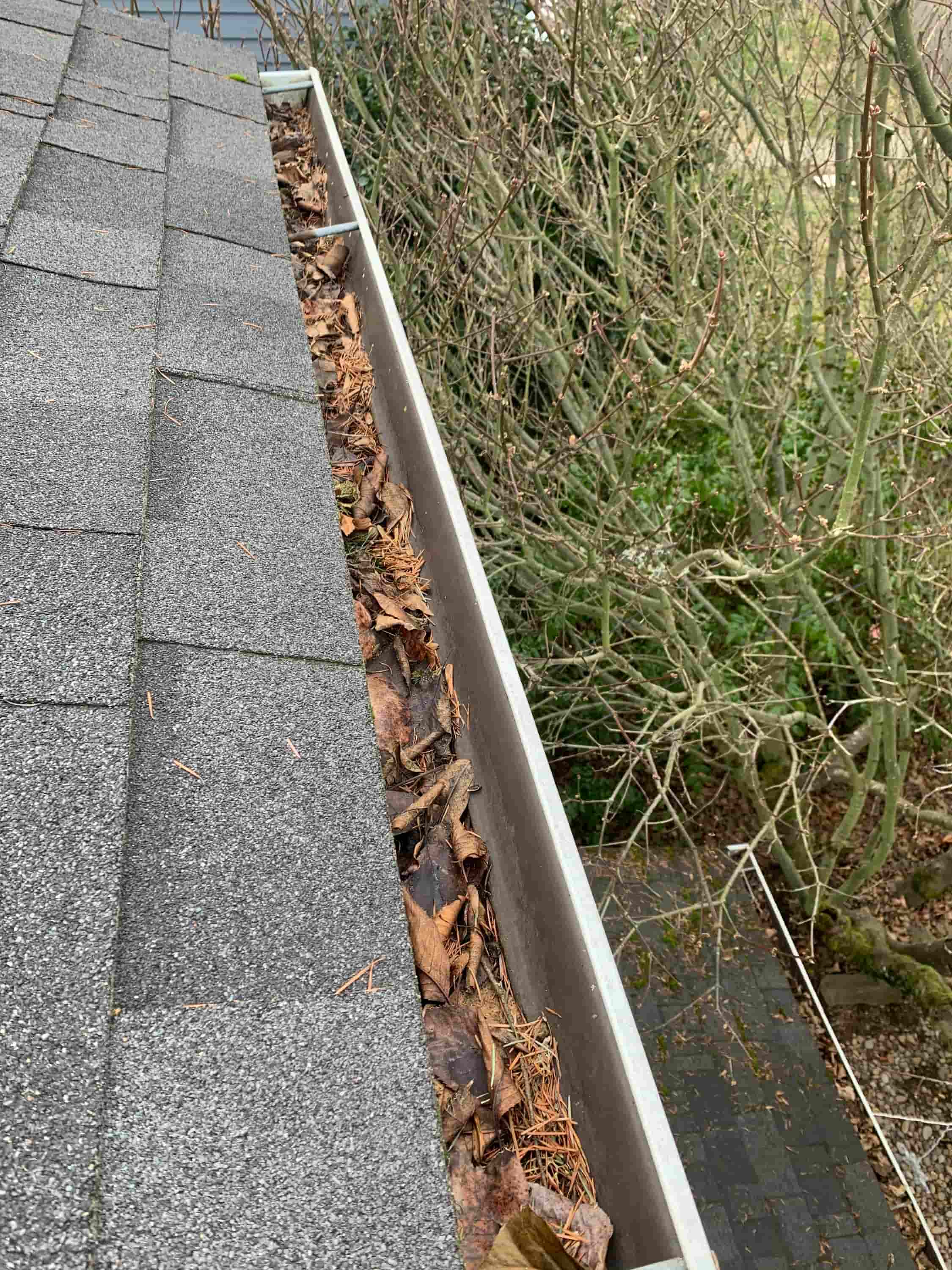 extended reach gutter cleaning wand