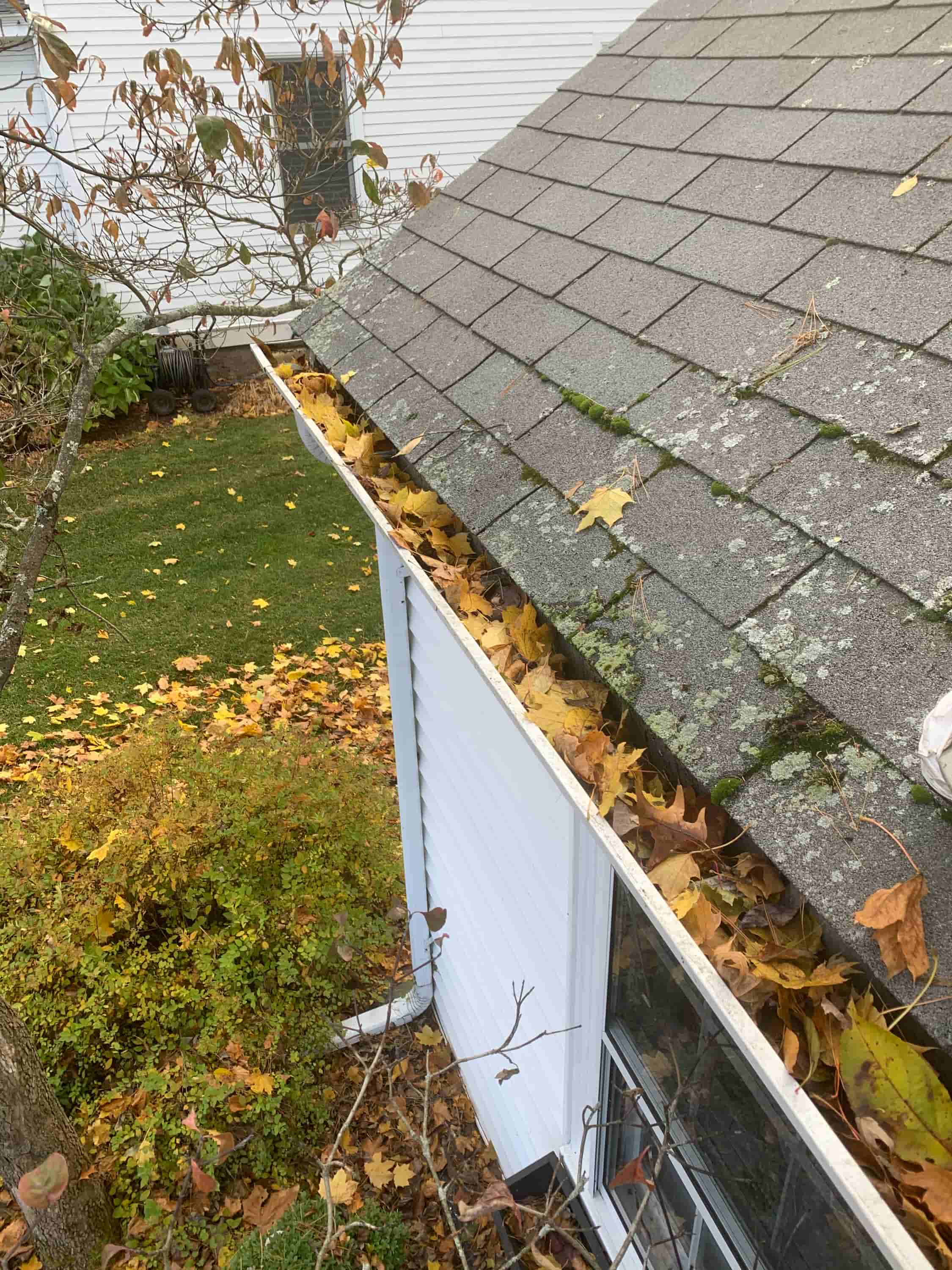 fast gutter cleaning