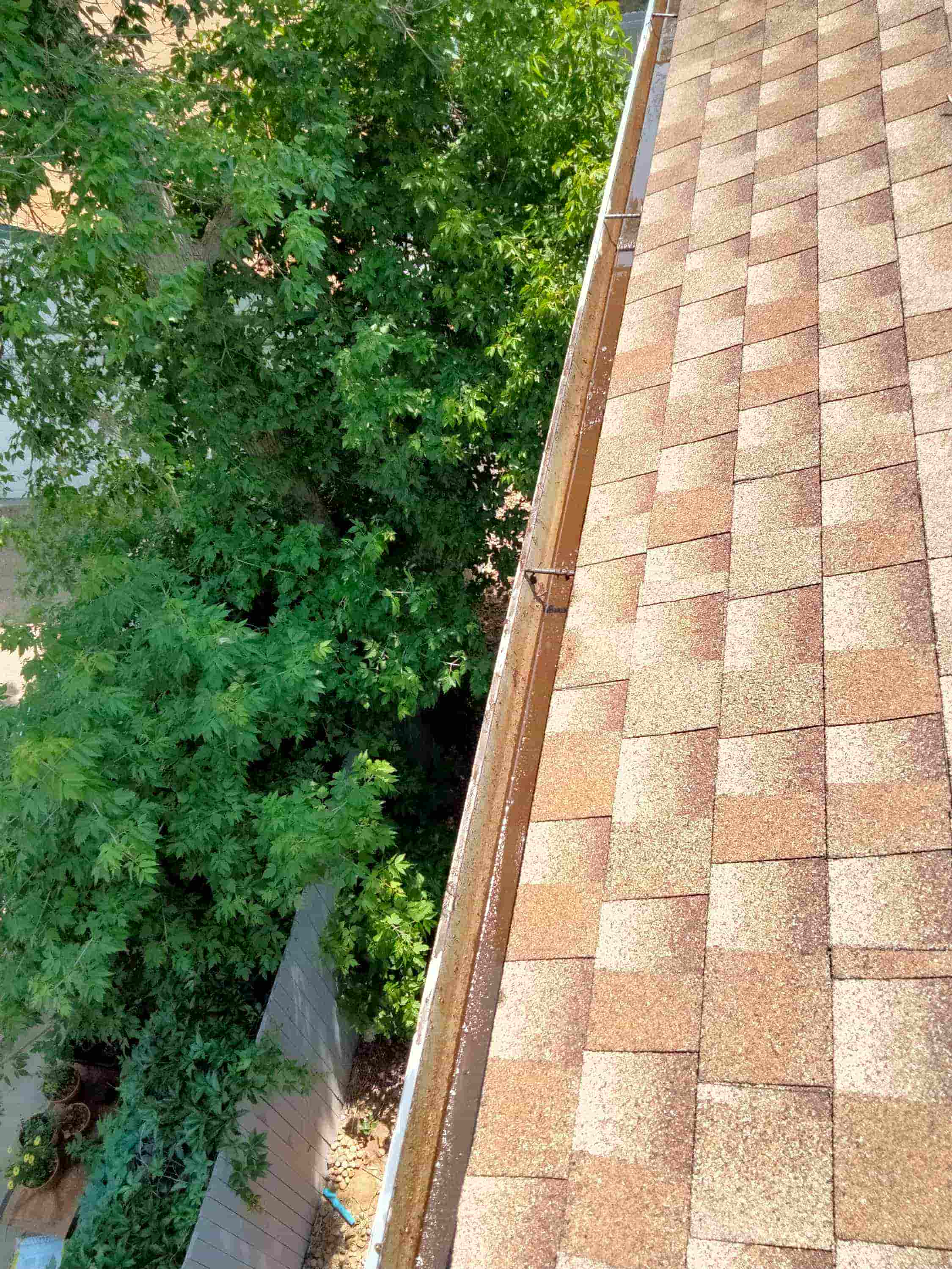 gutters cleaning service