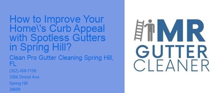 How to Improve Your Home's Curb Appeal with Spotless Gutters in Spring Hill?