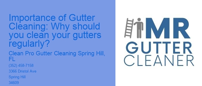Importance of Gutter Cleaning: Why should you clean your gutters regularly?