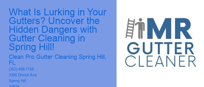 What Is Lurking in Your Gutters? Uncover the Hidden Dangers with Gutter Cleaning in Spring Hill!