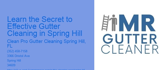 Learn the Secret to Effective Gutter Cleaning in Spring Hill