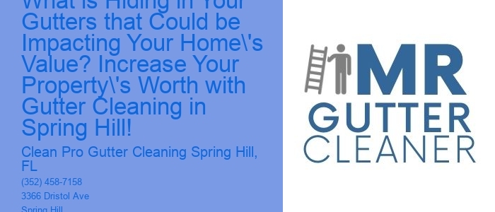What is Hiding in Your Gutters that Could be Impacting Your Home's Value? Increase Your Property's Worth with Gutter Cleaning in Spring Hill!