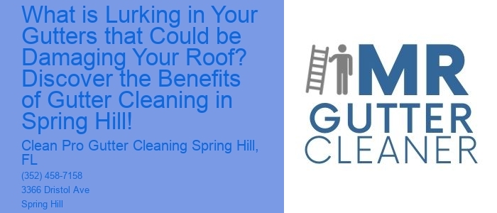What is Lurking in Your Gutters that Could be Damaging Your Roof? Discover the Benefits of Gutter Cleaning in Spring Hill!