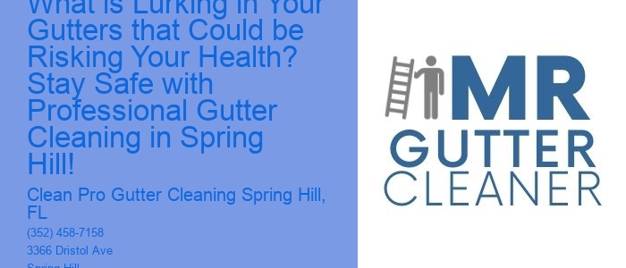 What is Lurking in Your Gutters that Could be Risking Your Health? Stay Safe with Professional Gutter Cleaning in Spring Hill!