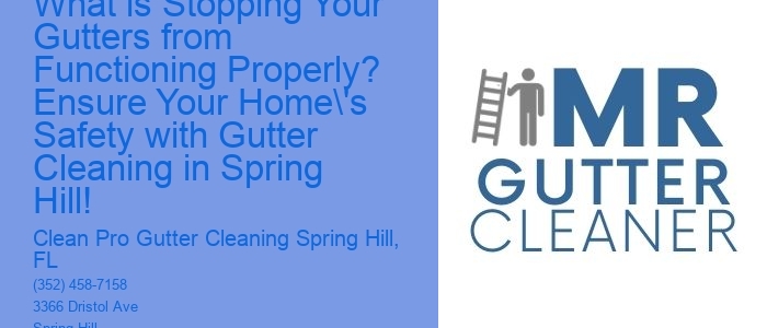 What is Stopping Your Gutters from Functioning Properly? Ensure Your Home's Safety with Gutter Cleaning in Spring Hill!