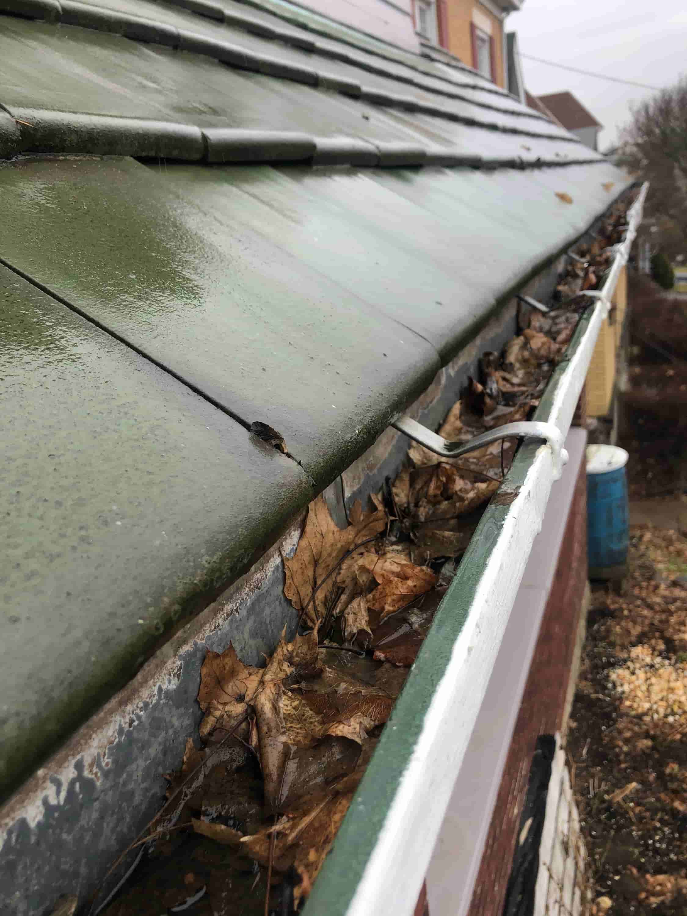 gutter cleaning device