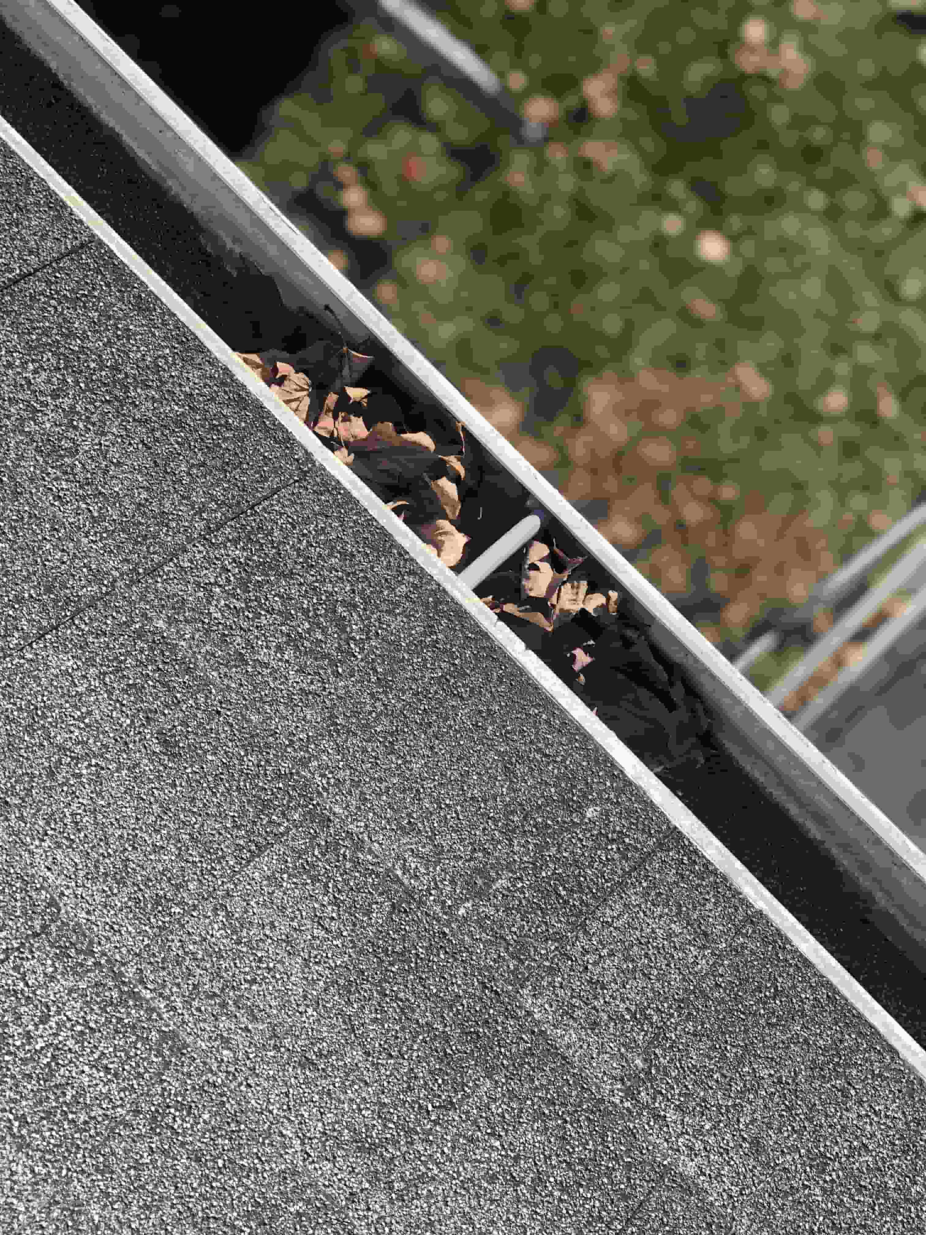 gutter cleaning 22192