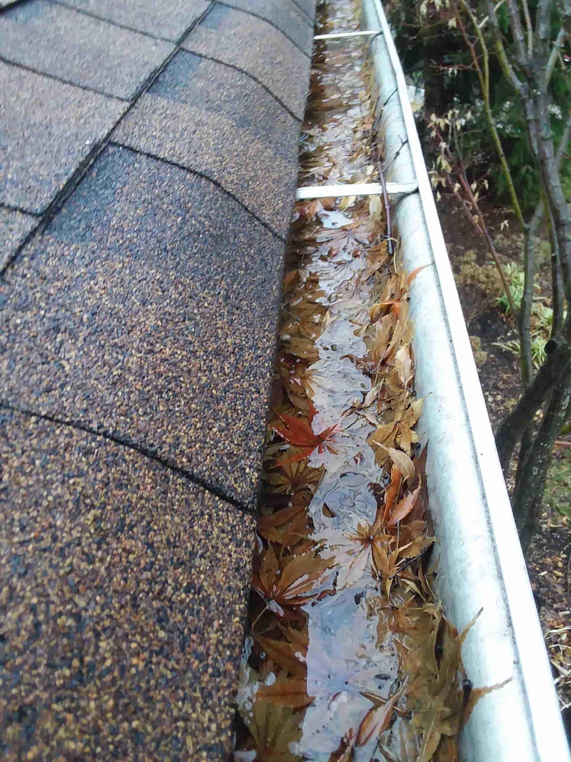 gutter sweep