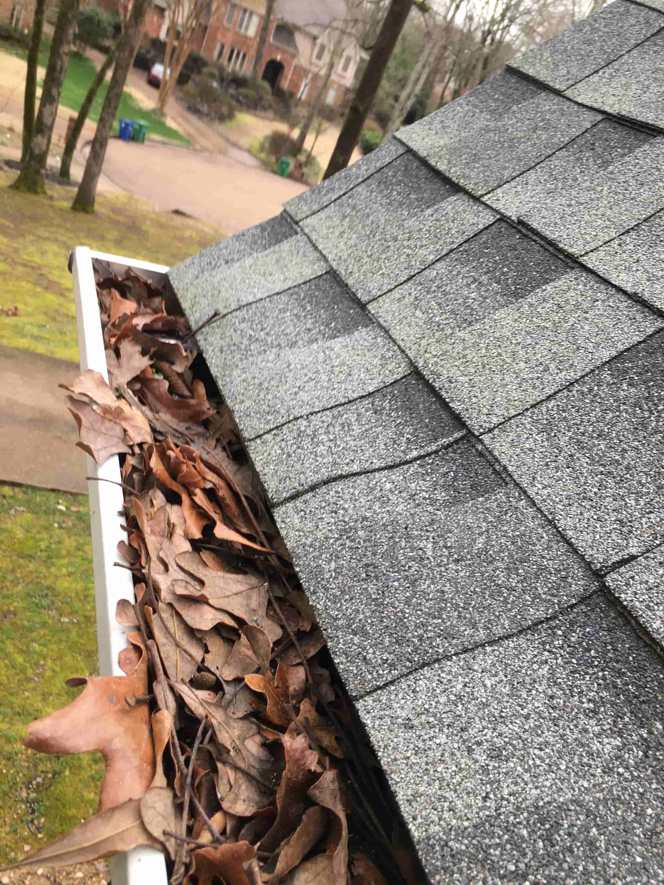 roof gutter cleaner near me