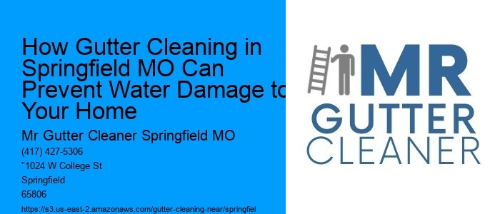 How Gutter Cleaning in Springfield MO Can Prevent Water Damage to Your Home
