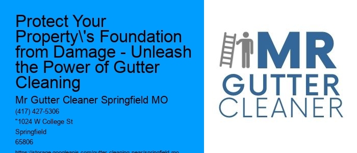 Protect Your Property's Foundation from Damage - Unleash the Power of Gutter Cleaning