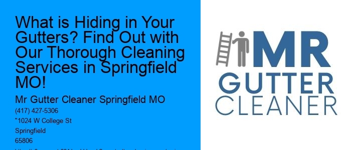 What is Hiding in Your Gutters? Find Out with Our Thorough Cleaning Services in Springfield MO!