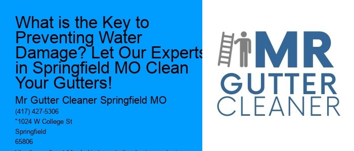 What is the Key to Preventing Water Damage? Let Our Experts in Springfield MO Clean Your Gutters!