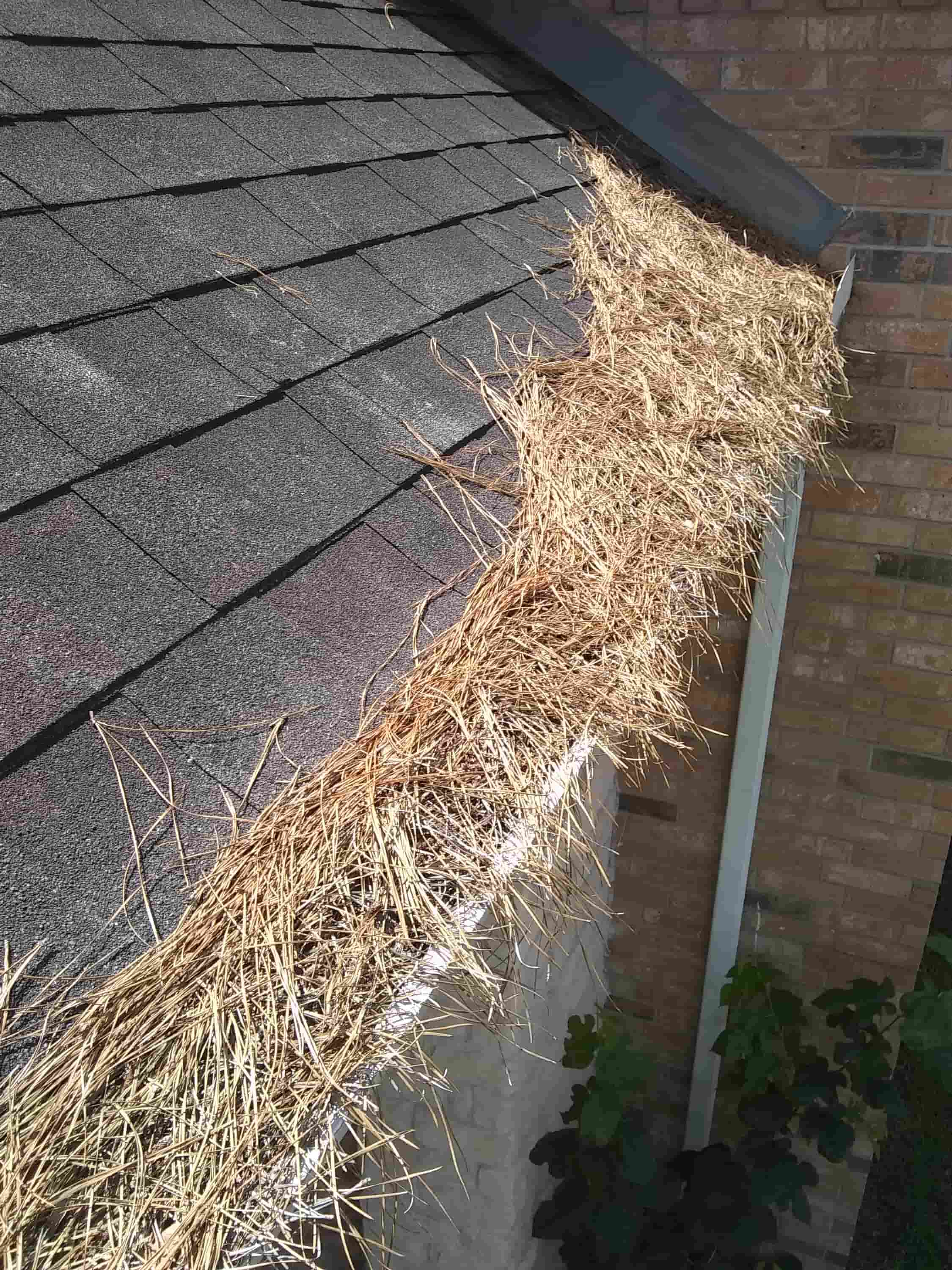 gutters repairs