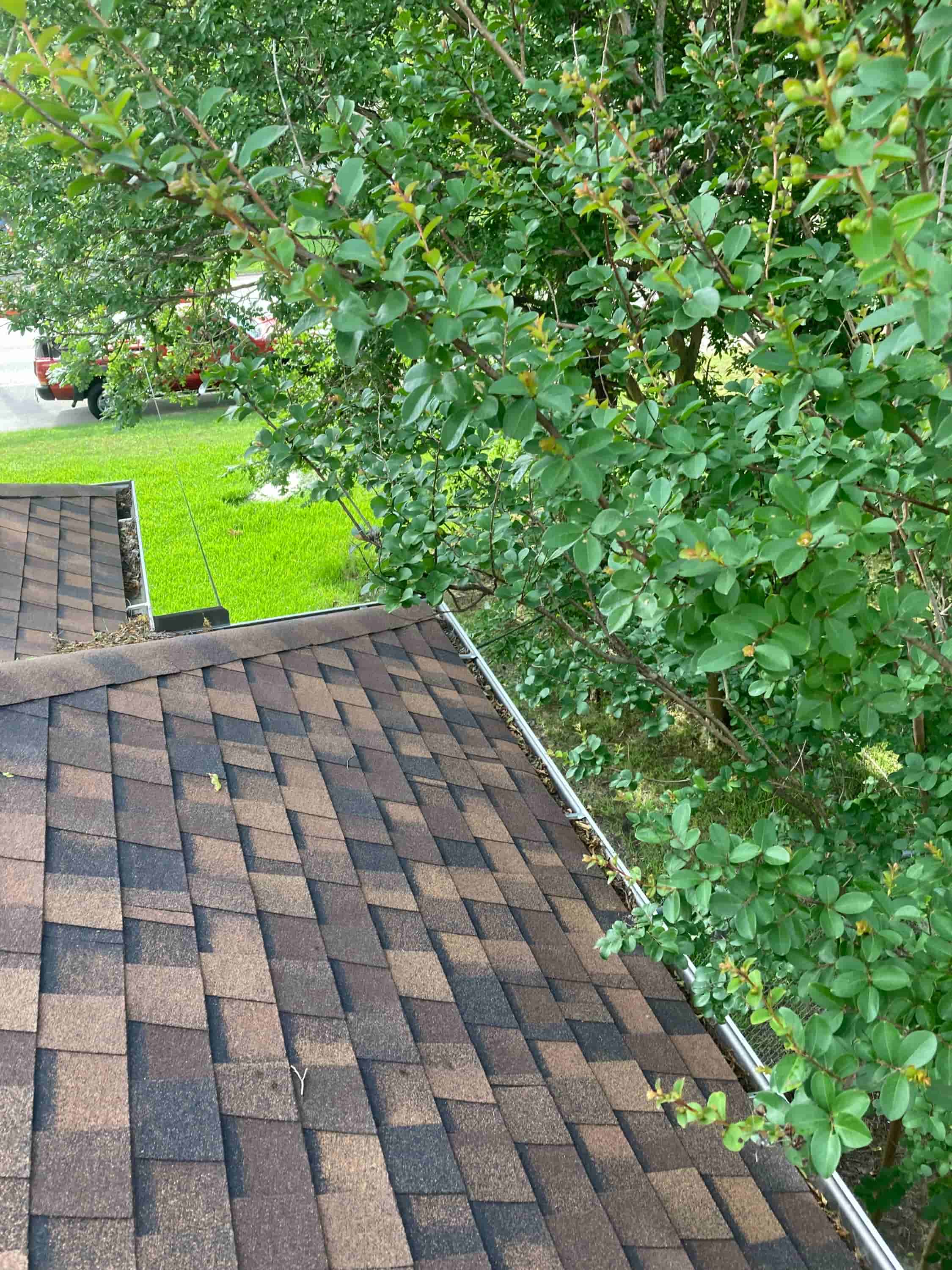 gutter cleaning images