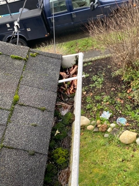 rock painting and gutters